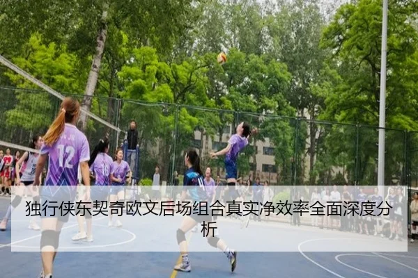 独行侠东契奇欧文后场组合真实净效率全面深度分析