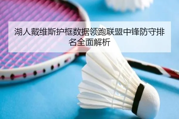 湖人戴维斯护框数据领跑联盟中锋防守排名全面解析