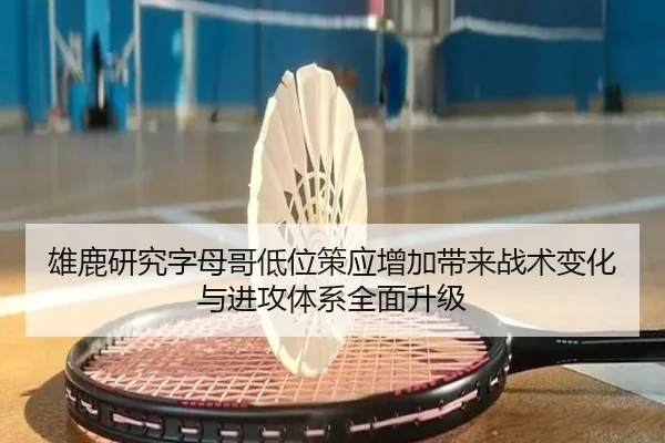 雄鹿研究字母哥低位策应增加带来战术变化与进攻体系全面升级